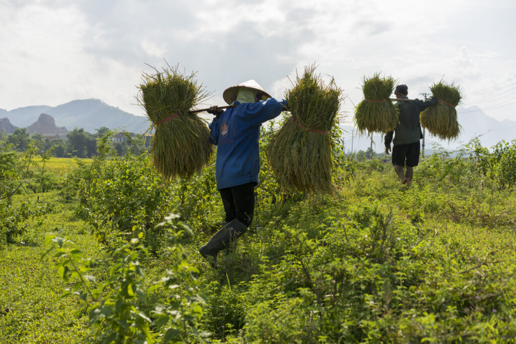 financial inclusion in 2026